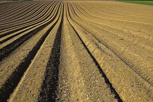 agricultura y suelos