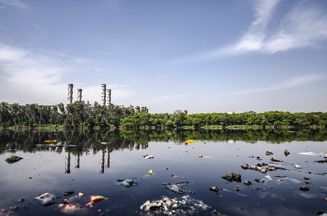 comunicación sustentable de las marcas de moda 