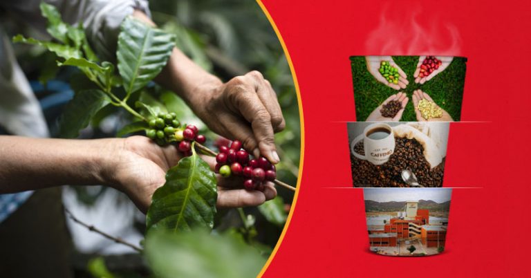 Y tú… ¿Eres un colaborador responsable con el medio ambiente?