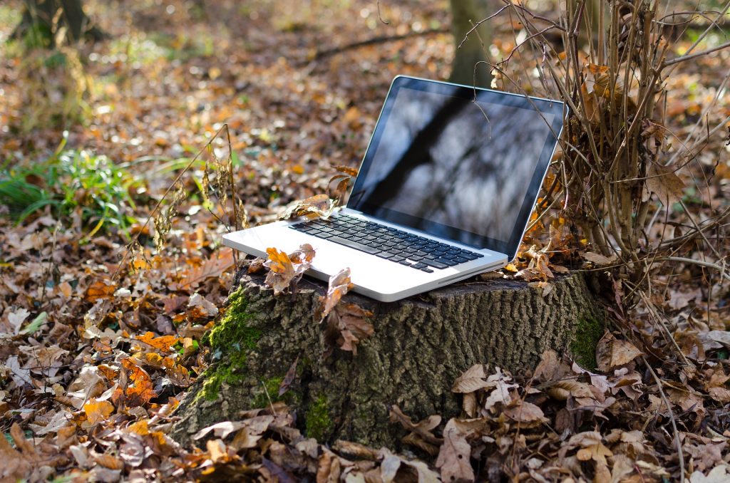 Educación climática para colaboradores 