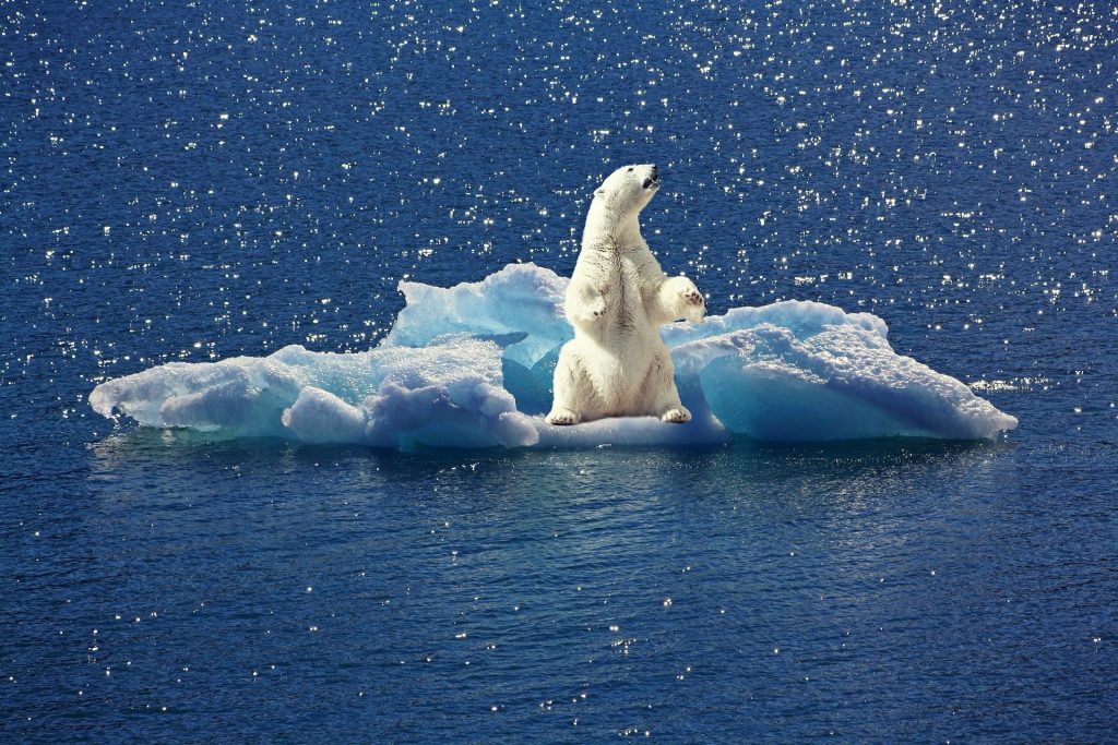 causa del cambio climático en todas las regiones del mundo