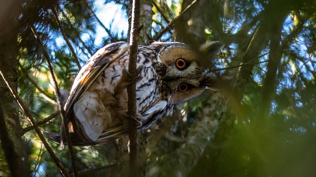 Qué son las áreas naturales protegidas regulación