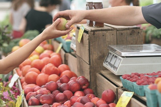 consumo responsable de alimentos y cambio climático