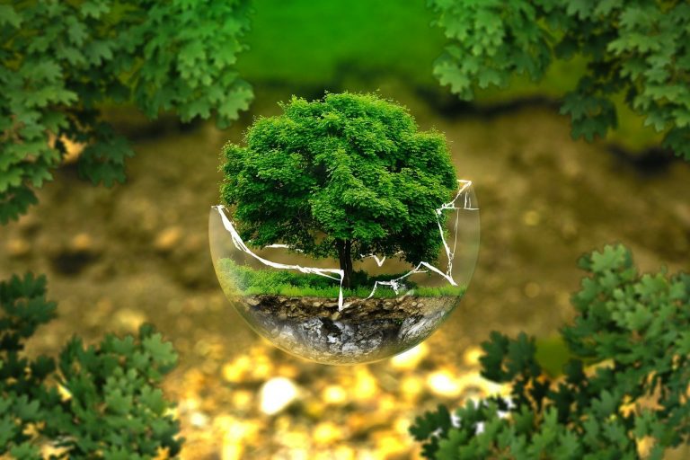 ESG vs greenwashing: 5 formas de diferenciarlos