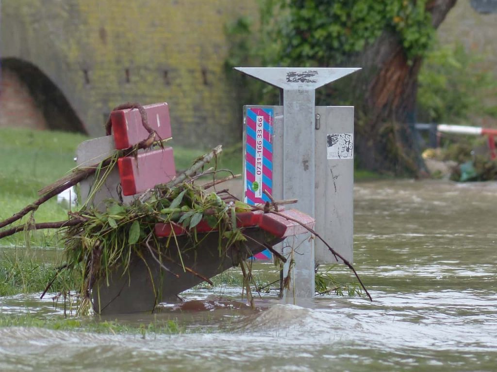 niñez y cambio climático