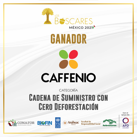 Impulsa CAFFENIO la protección a la biodiversidad en zona cafetalera de  Veracruz