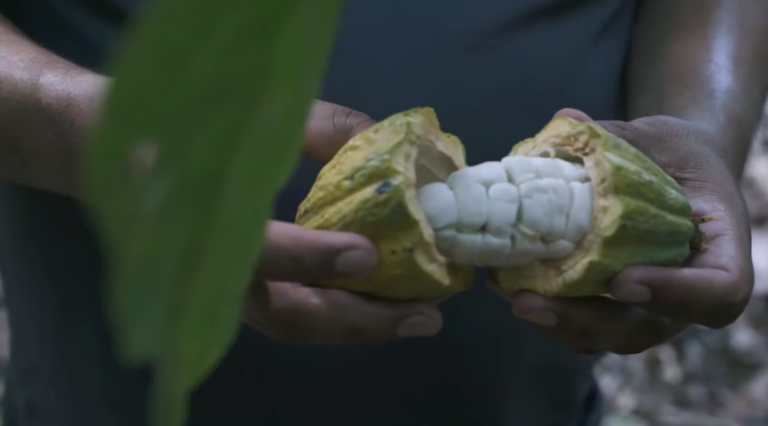 Conoce la historia de Carlos, cacaoticultor mexicano que forma parte de Nestlé Cocoa Plan