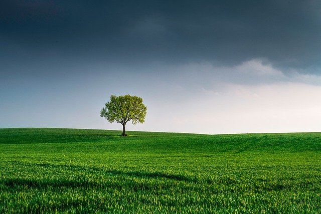 beneficios de la energía verde