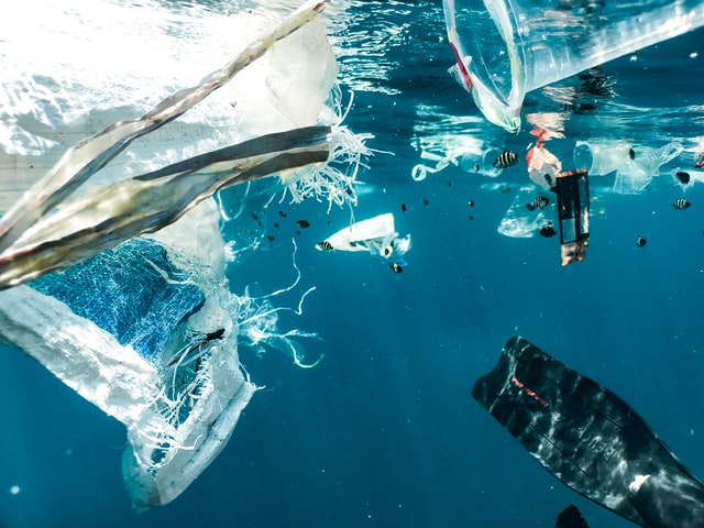 ¿Cuál es la mejor forma de sacar el plástico del océano?