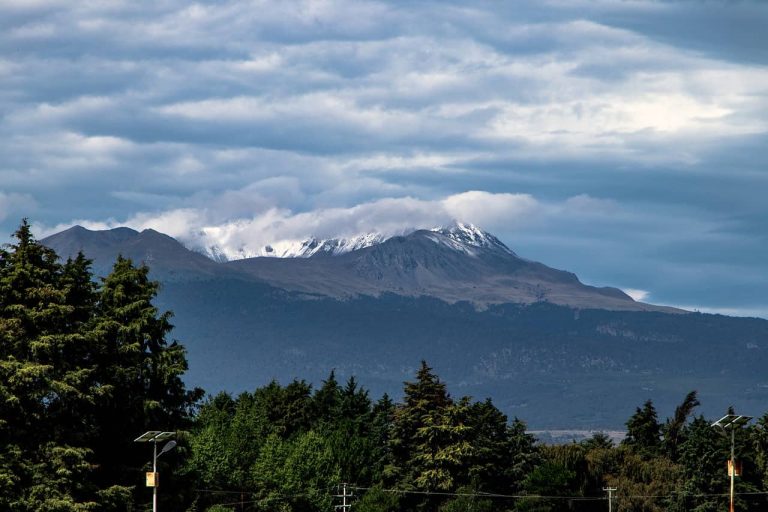 ¡Ahora tus celulares viejos pueden reforestar el Nevado de Toluca!