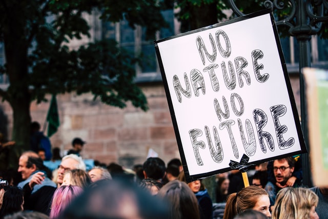 Reforestar no es suficiente, amigos y amigas de la COP26