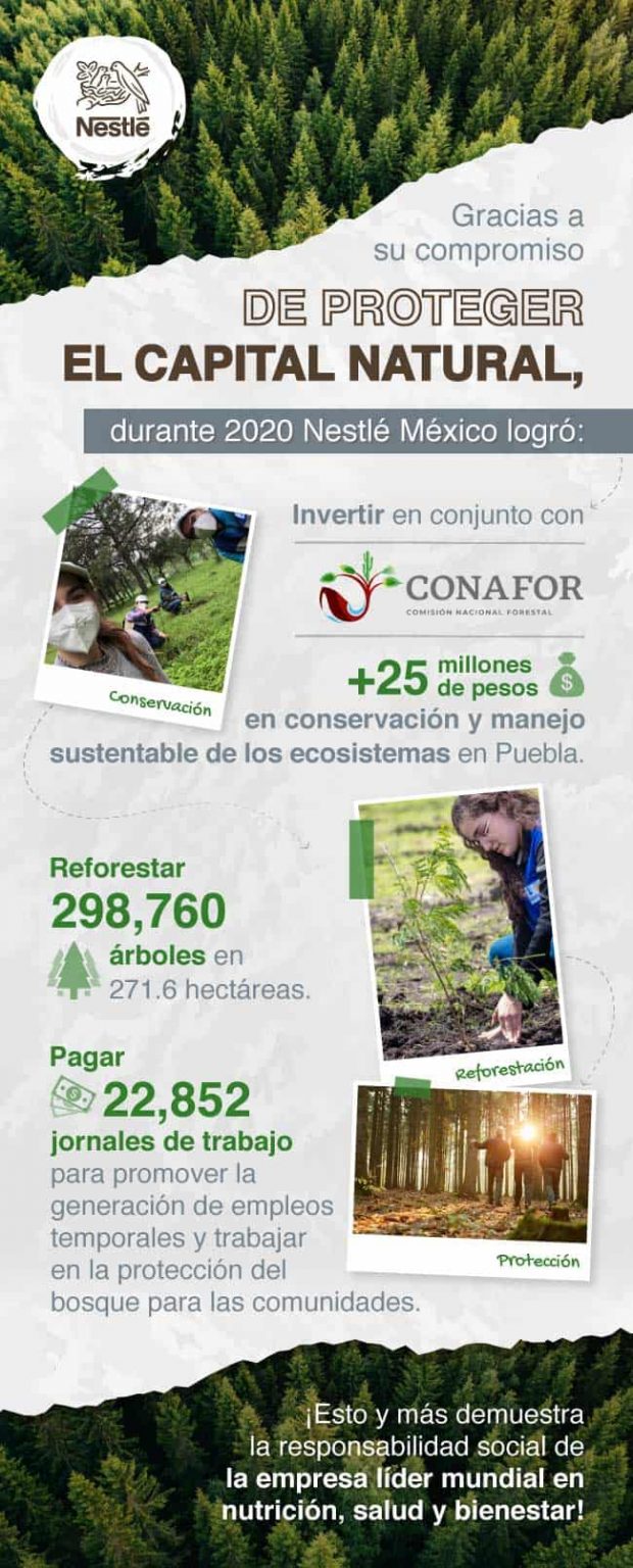 6 acciones para proteger el capital natural