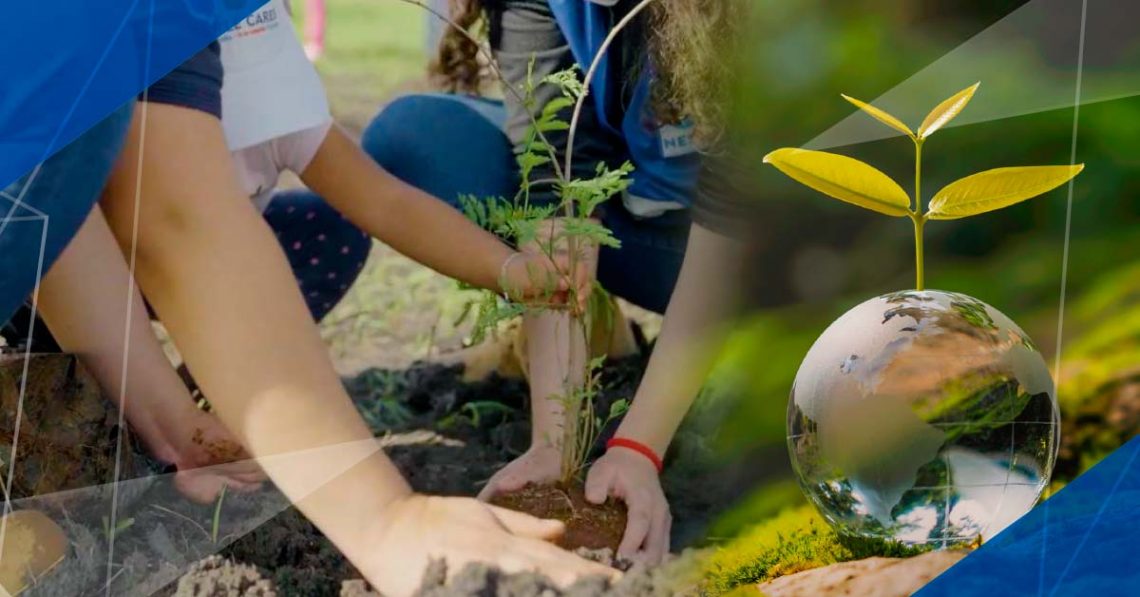 6 acciones para proteger el capital natural