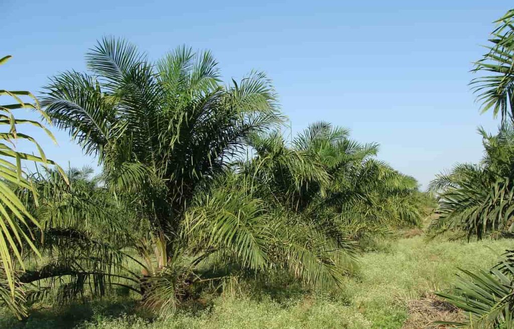 abastecimiento acciones para proteger el capital natural