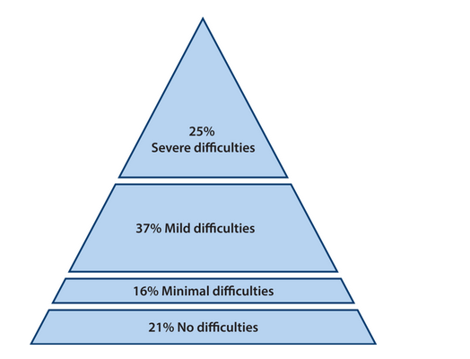 modelo piramidal de diversidad