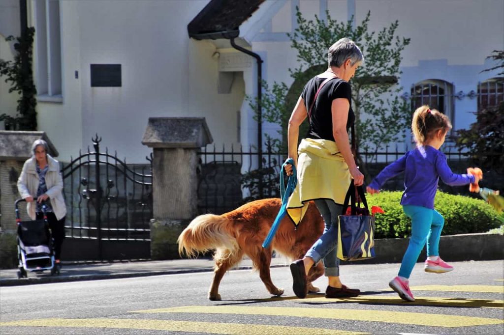 beneficios de tener perros