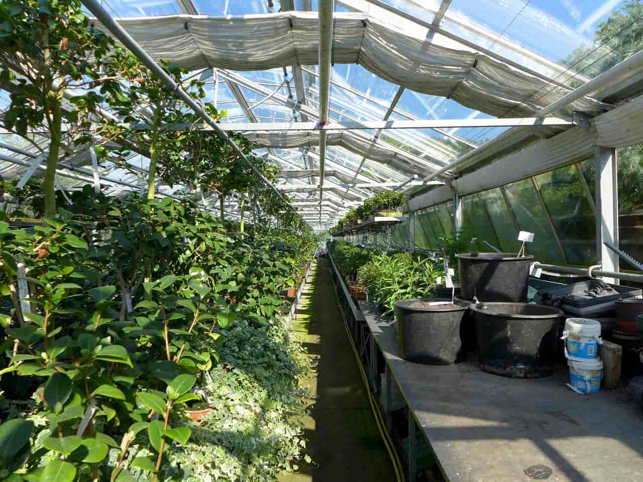 6 acciones para proteger el capital natural
