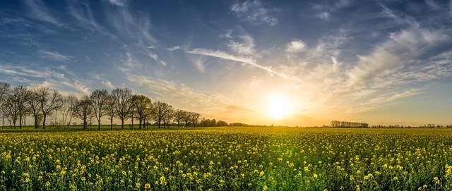 tecnologías para lograr cero neto