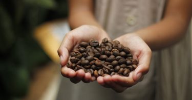 mujeres de la industria del café