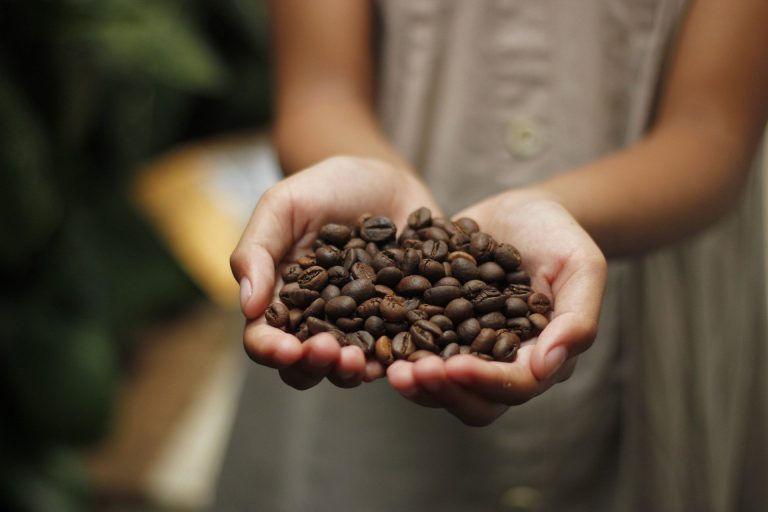 Starbucks México celebra a las mujeres de la industria del café