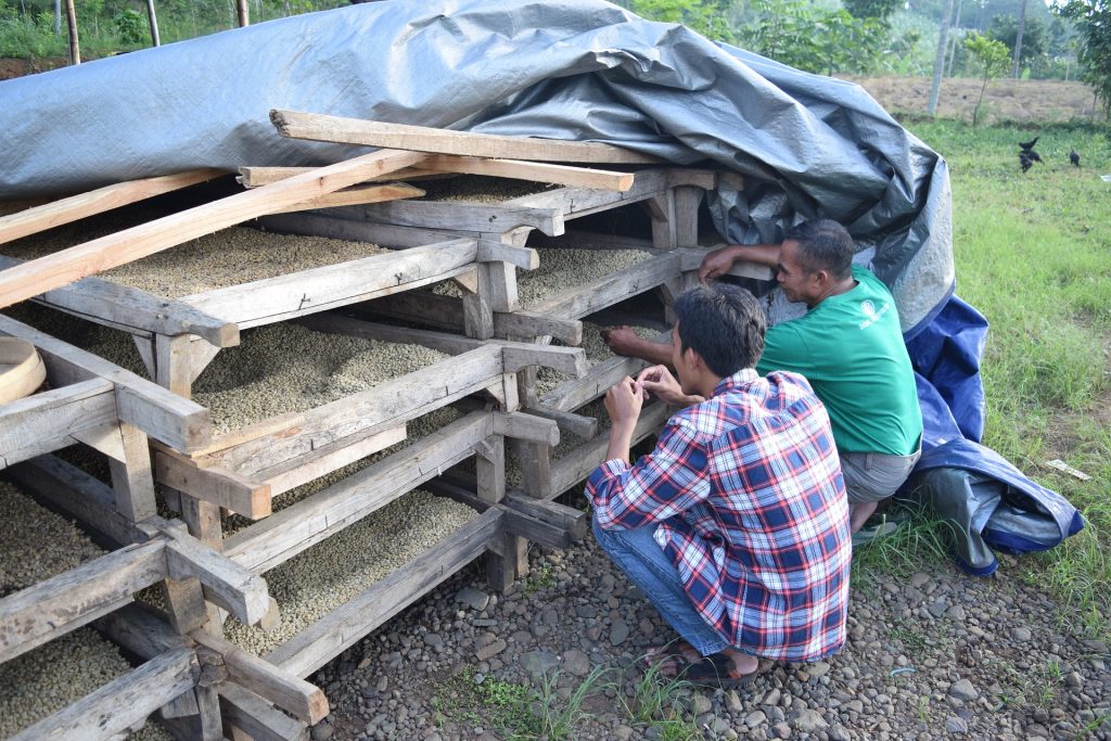 Cambio climático encarecería el café