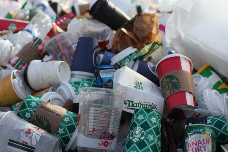 ¿Reusar es mejor que reciclar?