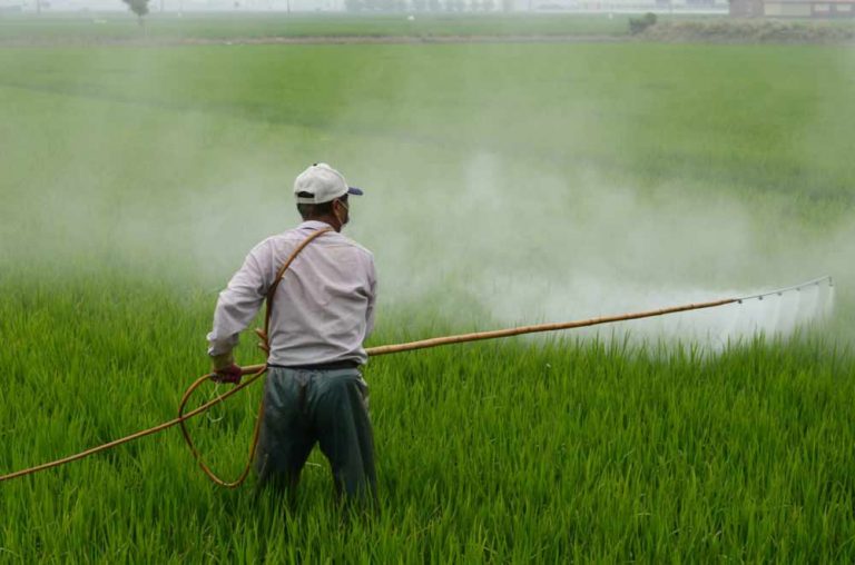 Bayer invita a los investigadores a presentar nuevos compuestos para la protección de cultivos