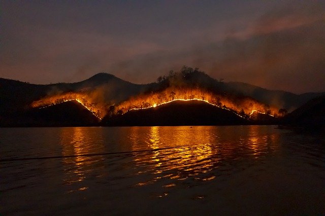 incendios forestales crisis climatica
