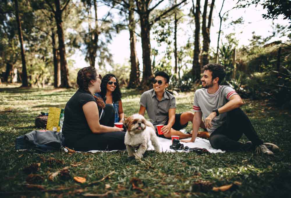 consumidores jóvenes son más ecológicos