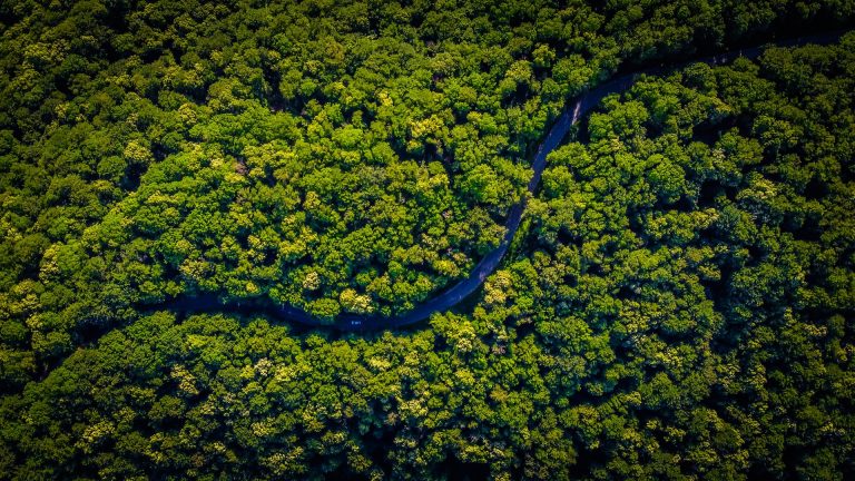 El Amazonas llega a un punto sin retorno