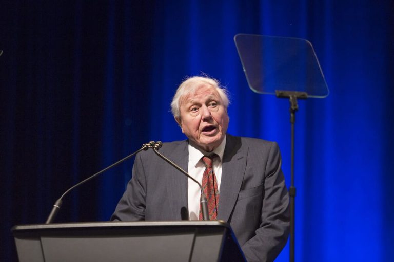 El campeón de la Tierra, David Attenborough, recibió el premio Lifetime Achievement Award