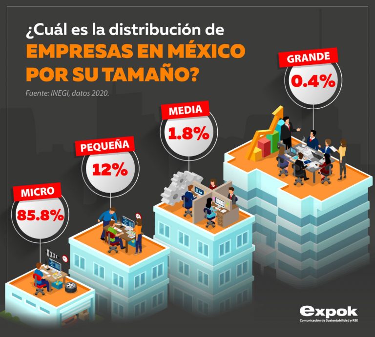 ¿Cuál es la distribución de empresas en México por su tamaño?