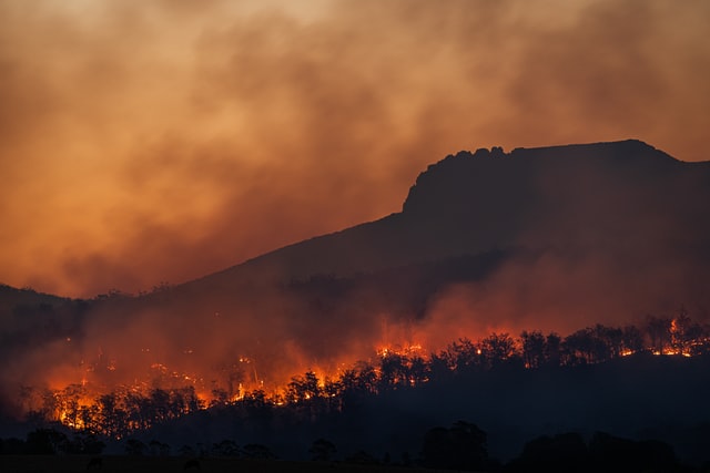 No miren arriba se vuelve real… científico de la NASA arrestado por protestar vs cambio climático