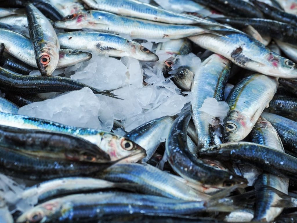 cambio climático a restaurantes