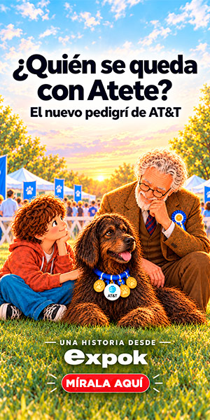 spot_img