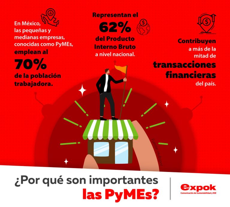 ¿Por qué son importantes las PyMEs?