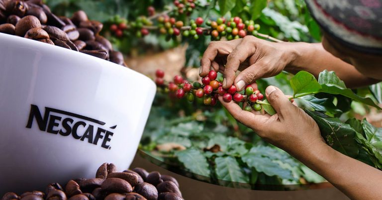 ¿Es posible tener un futuro más sustentable para el café?