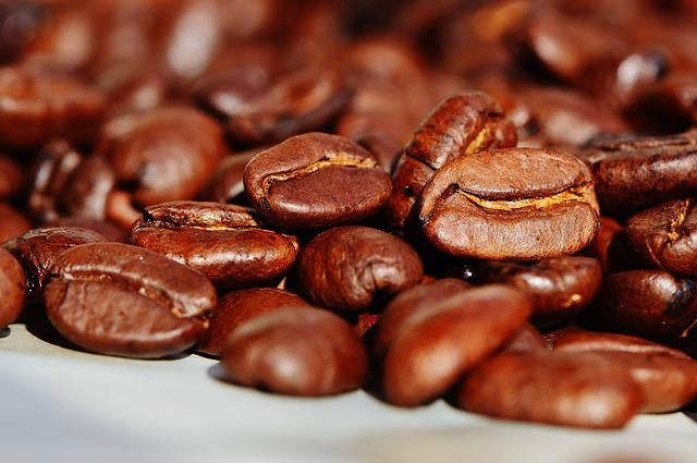 cultivo sustentable de café
