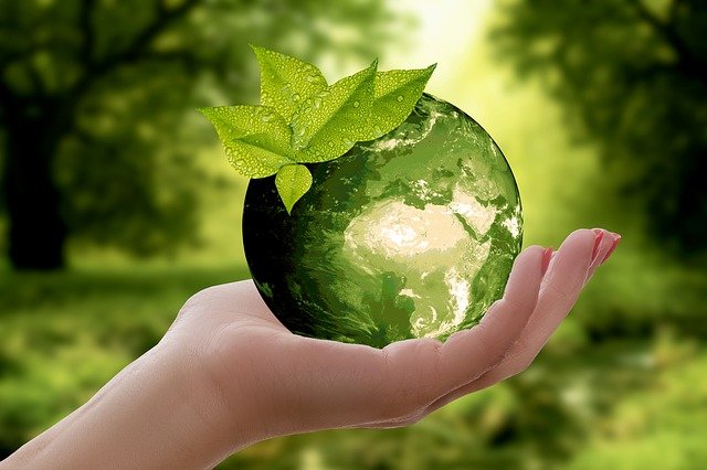 El objetivo de lograr una Selección Neutra en Carbono es ayudar al planeta de la crisis climática.