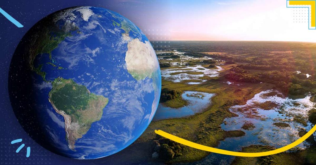 regenerar la biodiversidad de Latinoamérica