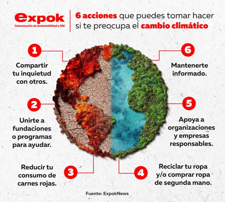 6 cosas que puedes hacer si te preocupa el cambio climático