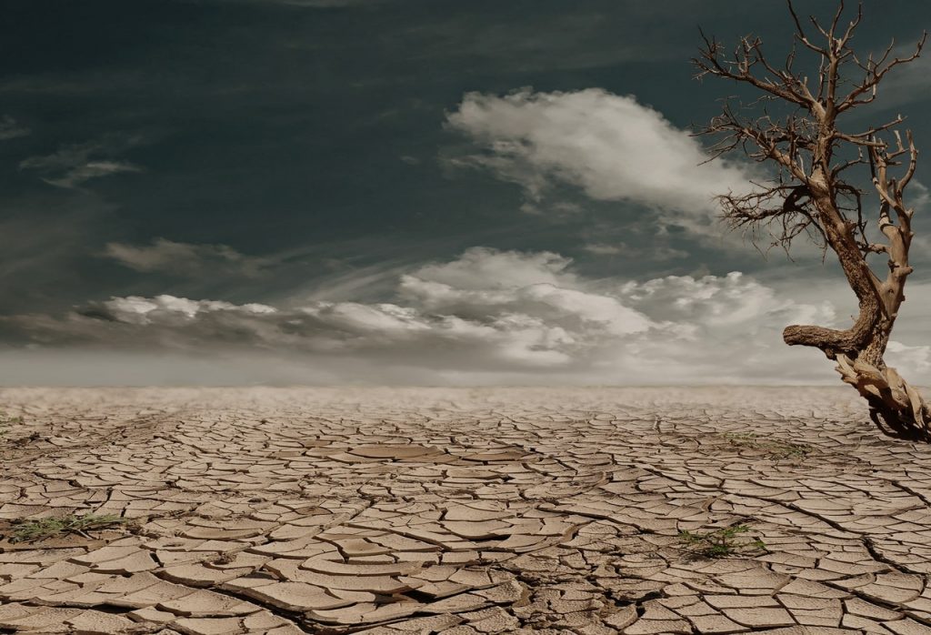 sequías cambio climático