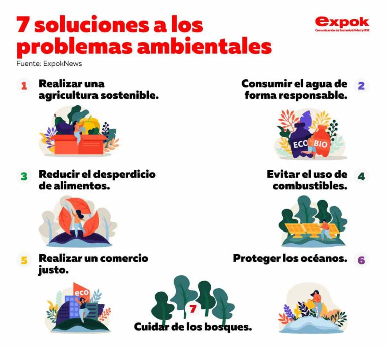 7 soluciones a los problemas ambientales