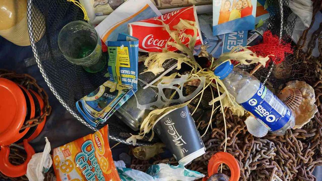 Coca-Cola PepsiCo y McDonalds responsables de contaminación