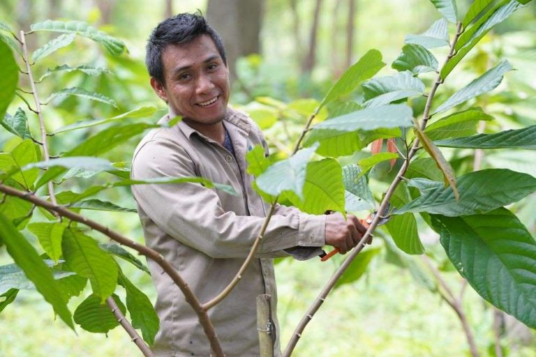 Hershey México y sus aliados celebran 10 años de logros apoyando al sector cacaotero