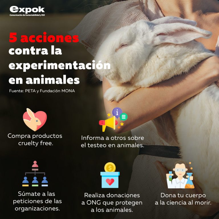 5 acciones contra la experimentación en animales