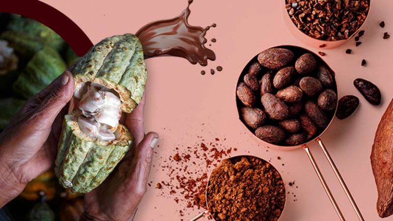 ¿Por qué es importante preservar el cacao mexicano?