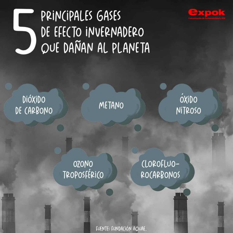 5 principales gases de efecto invernadero que dañan al planeta