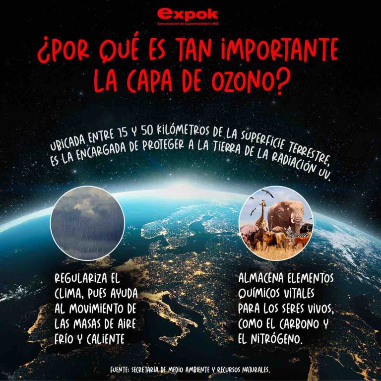 ¿Por qué es tan importante la capa de ozono?