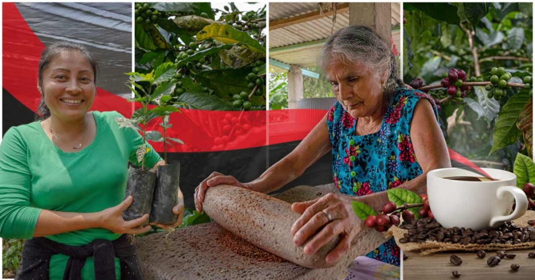 alianzas internacionales